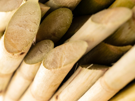 Pieces of sugar cane that are used to produce the interior of the Hyundai IONIQ 6 