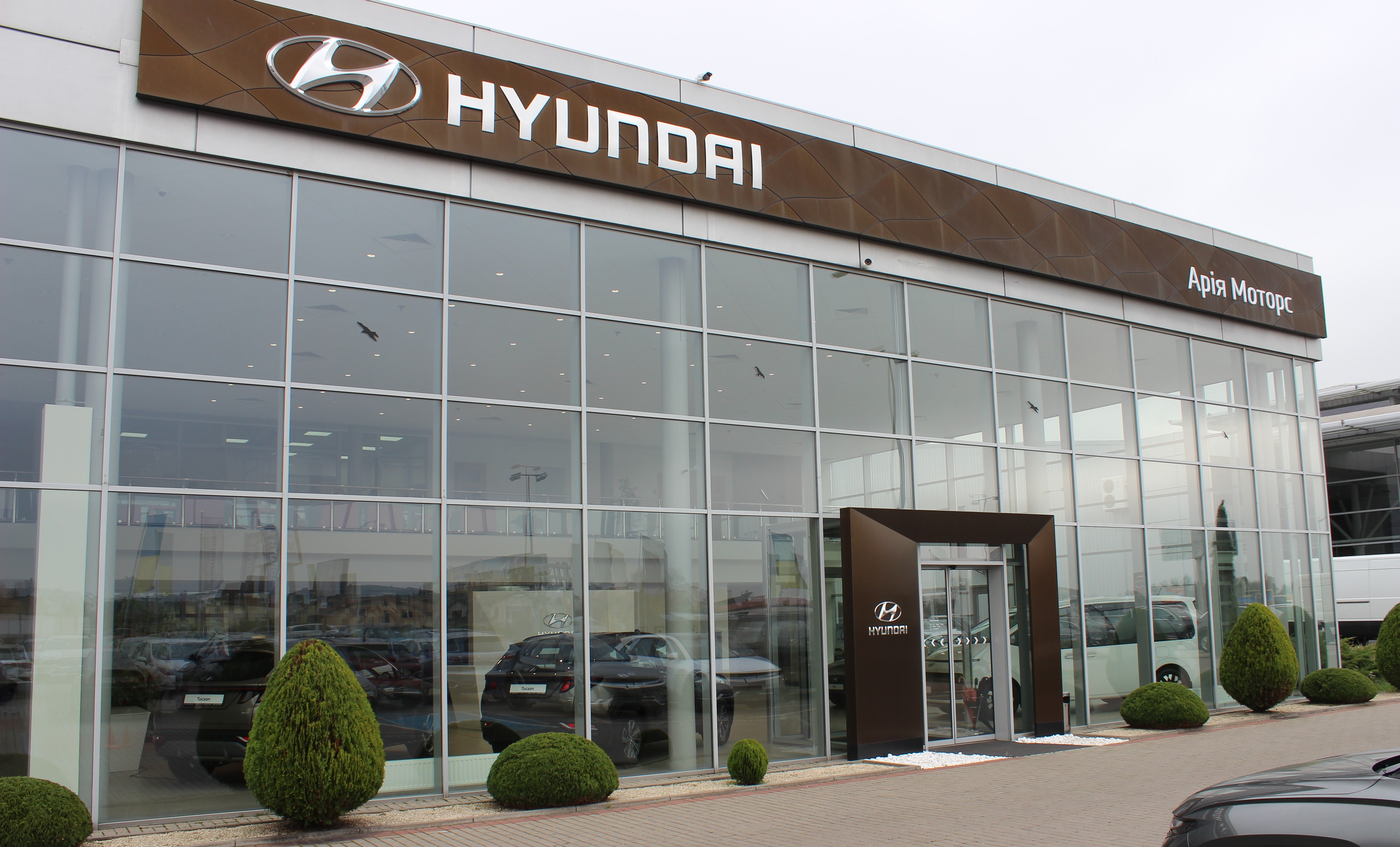 Hyundai купити в Чернігові. Нові Хюндай. Ціни на авто Hyundai в Чернігові - фото 6