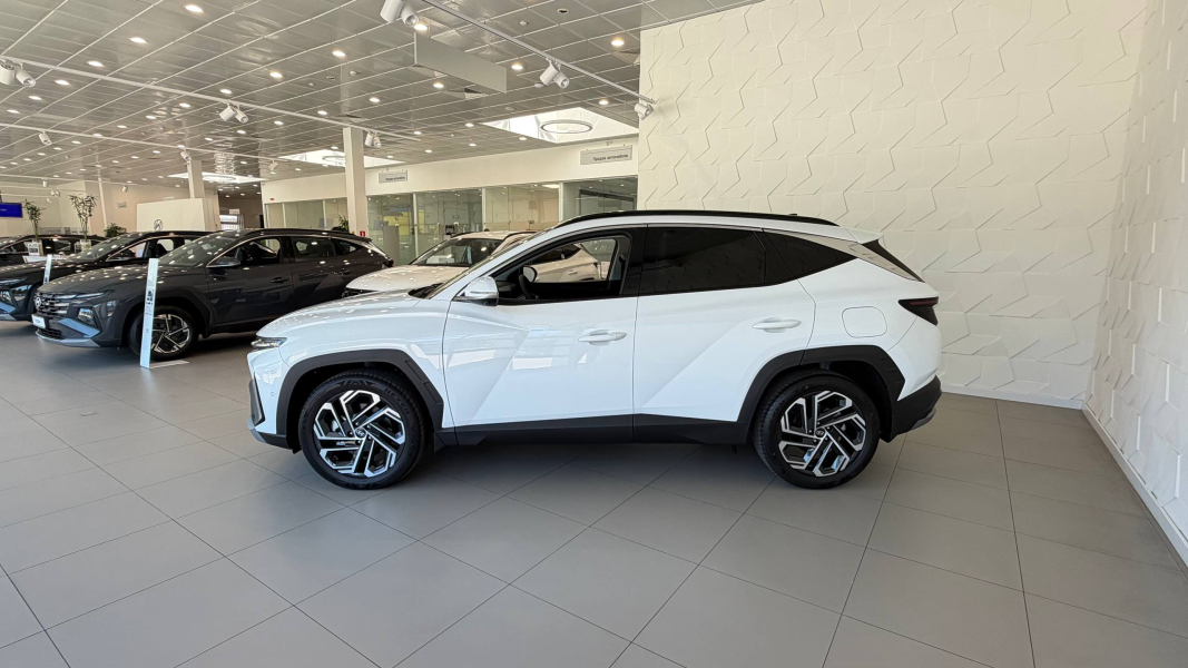 Hyundai купити в Чернігові. Нові Хюндай. Ціни на авто Hyundai в Чернігові - фото 11